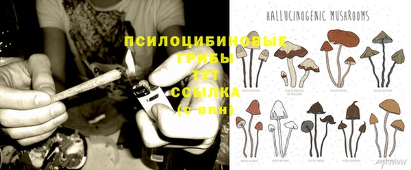 Альфа ПВП Алексеевка