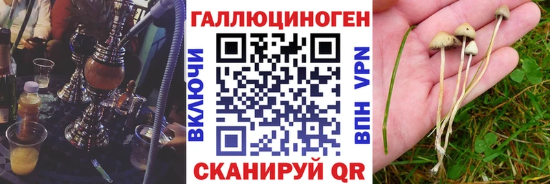 Псилоцибиновые грибы прущие грибы  магазин  наркотиков  Нижний Новгород 
